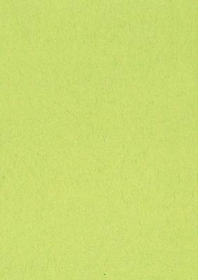 Gekleurd tekenpapier, 120 g, ft 21 x 29,7, A4, lichtgroen, pak van 500 vel