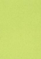 Gekleurd tekenpapier, 120 g, ft 21 x 29,7, A4, lichtgroen, pak van 500 vel