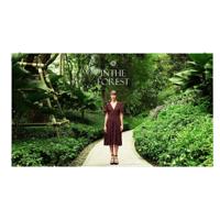 Videowall Monitor LG LED CABINET 1.5 4K Ultra HD