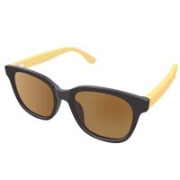 Aphex Echo Zonnebril Mat Zwart - Bruin