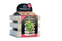 Baza garden box bosaardbei wit