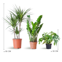 Schaduw Plantenbox - medium - zonder sierpot