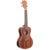 Kala KA-SMH-CG Gloss Solid Mahogany massieve concert ukelele met koffer