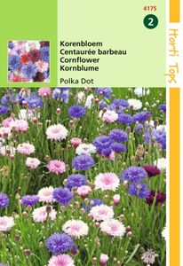 Centaurea Cyanus Polka Dot Gemengd - Hortitops