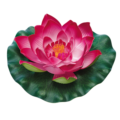 Pontec Pondolily rood