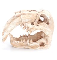 Nobleza Aquariumdecoratie - Schedel - 14 cm