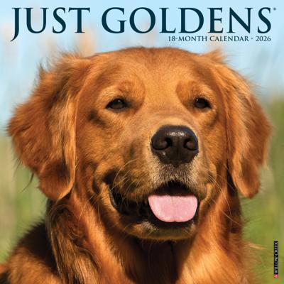 Golden Retriever Kalender 2026