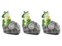 LIVARNO home LED-solarlampen (3 stuks grijs met kikker)