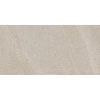 Serenissima Eclettica 1081675 Vloertegel 600X1200 Argento 9,5mm Mat Ret.R10