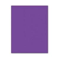 Fiches Iris Paars 50 x 65 cm