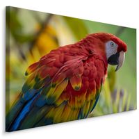 Schilderij - Kleurrijke Ara in de Natuur, Premium Print - thumbnail