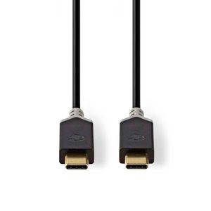 Nedis CCBW64700AT10 USB-kabel 1 m USB 3.2 Gen 2 (3.1 Gen 2) USB C Antraciet