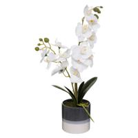 Orchidee bloemen kunstplant in sierlijke blauwe bloempot - witte bloemen - H45 cm - thumbnail