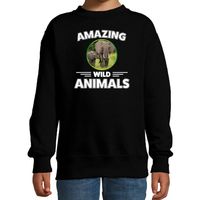 Sweater elephants are serious cool zwart kinderen - olifanten/ olifant trui 14-15 jaar (170/176)  -