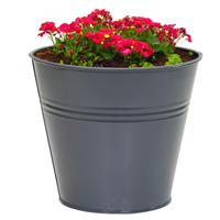 Plantenpot/bloempot Bob - rond - zink - antraciet - D13 X H12 cm