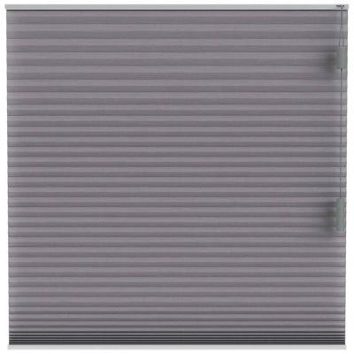 Leen Bakker - Fenstr Plisségordijn Chicago Dubbel 25mm Lichtdoorlatend - (20227) - Polyester - Grijs - 120x10x10 Cm