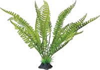 Plant standing fern Repto - Repto Plant standing fern Repto - Repto