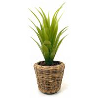 Planten/bloemen mand - rond - rotan - gevlochten riet - D32 x H29 cm - drypot