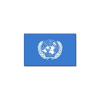 Landen thema vlag Verenigde Naties 90 x 150 cm feestversiering