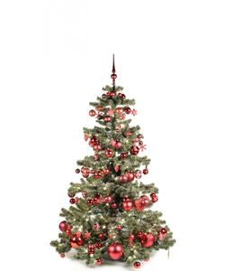 Basic Tree Warm Bordeaux 180cm