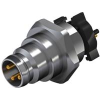 Weidmüller 2423100000 Sensor/actuator inbouwconnector M8 Aantal polen: 4 Stekker, inbouw verticaal 25 stuk(s)