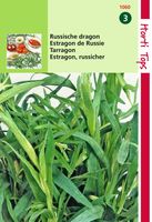 Zaden Dragon Hortitops - Hortitops