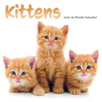 Kittens Kalender 2026