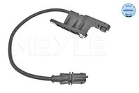 Nokkenassensor 6148000019
