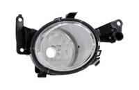 Mistlamp rechts 190663012