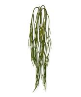 Rhipsalis Pilocarpa kunsthanger 65cm