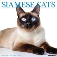 Siamees Kalender 2026
