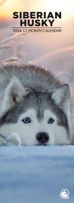 Siberian Husky Slimline Kalender 2026