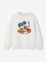 Sweater met ronde hals en geplaatste print voor jongens gemêleerd beige