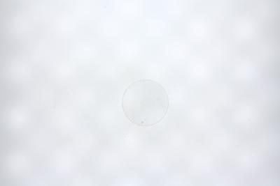 Armani Horlogeglas (bol) AR2477