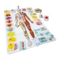 Selecta Ik leer - het menselijk lichaam