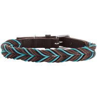 Hunter Solid Education Bruin, Turkoois Leer S-M Hond Standaard halsband - thumbnail