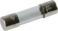 HERTH+BUSS glazen zekering glasrohrsich. 2a herth & buss