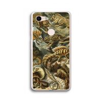 Haeckel Lacertilia: Google Pixel 3 XL Transparant Hoesje