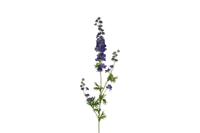 Decostar Delphinium giant 90 cm blauw