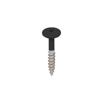 Torx schroef RVS 32 mm 100st Grafietzwart - Keralit (2890)