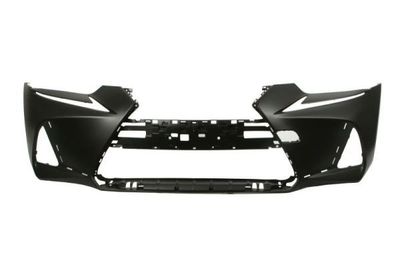 Bumper 5510008173901P