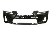 Bumper 5510008173901P
