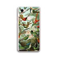 Haeckel Trochilidae: Google Pixel 3 XL Transparant Hoesje