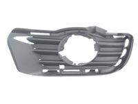 Ventilatiegrille, bumper 6502073518916P