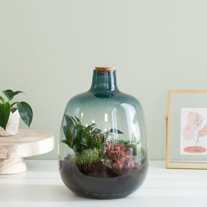Terrarium Ohrid