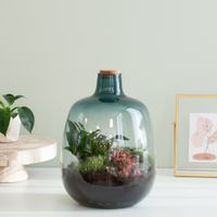 Terrarium Ohrid