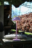 Lucide Joy oplaadbare lamp 1.5W 30x12cm roze - thumbnail