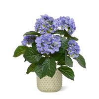 Hortensia kunstplant 40cm blauw in pot