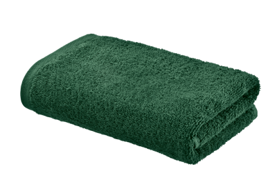 PARKSIDE Handdoek 100 x 50 cm (Groen) PARKSIDE Handdoek 100 x 50 cm (Groen)