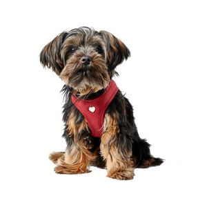 Hunter 69916 hond & kat harnas S Rood Leer Vestharnas
